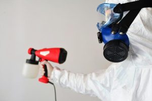 effective mold removal service